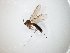  ( - TSZD-JKJ-104773)  @11 [ ] CreativeCommons - Attribution Non-Commercial Share-Alike (2018) Unspecified Tromsø University Museum