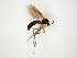  ( - TSZD-JKJ-104774)  @11 [ ] CreativeCommons - Attribution Non-Commercial Share-Alike (2018) Unspecified Tromsø University Museum