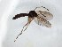 ( - TSZD-JKJ-104776)  @11 [ ] CreativeCommons - Attribution Non-Commercial Share-Alike (2018) Unspecified Tromsø University Museum