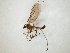  ( - TSZD-JKJ-104777)  @11 [ ] CreativeCommons - Attribution Non-Commercial Share-Alike (2018) Unspecified Tromsø University Museum