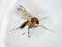  ( - TSZD-JKJ-104782)  @13 [ ] CreativeCommons - Attribution Non-Commercial Share-Alike (2018) Unspecified Tromsø University Museum
