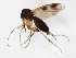 ( - TSZD-JKJ-104799)  @11 [ ] CreativeCommons - Attribution Non-Commercial Share-Alike (2018) Unspecified Tromsø University Museum