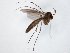  ( - TSZD-JKJ-104803)  @11 [ ] CreativeCommons - Attribution Non-Commercial Share-Alike (2018) Unspecified Tromsø University Museum
