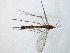  ( - TSZD-JKJ-104804)  @11 [ ] CreativeCommons - Attribution Non-Commercial Share-Alike (2018) Unspecified Tromsø University Museum