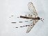  ( - TSZD-JKJ-104804)  @11 [ ] CreativeCommons - Attribution Non-Commercial Share-Alike (2018) Unspecified Tromsø University Museum