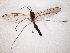  ( - TSZD-JKJ-104805)  @12 [ ] CreativeCommons - Attribution Non-Commercial Share-Alike (2018) Unspecified Tromsø University Museum