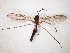  ( - TSZD-JKJ-104805)  @12 [ ] CreativeCommons - Attribution Non-Commercial Share-Alike (2018) Unspecified Tromsø University Museum