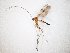  ( - TSZD-JKJ-104806)  @13 [ ] CreativeCommons - Attribution Non-Commercial Share-Alike (2018) Unspecified Tromsø University Museum