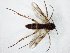  ( - TSZD-JKJ-104814)  @11 [ ] CreativeCommons - Attribution Non-Commercial Share-Alike (2018) Unspecified Tromsø University Museum