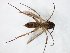  ( - TSZD-JKJ-104814)  @11 [ ] CreativeCommons - Attribution Non-Commercial Share-Alike (2018) Unspecified Tromsø University Museum