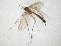  ( - TSZD-JKJ-104822)  @11 [ ] CreativeCommons - Attribution Non-Commercial Share-Alike (2018) Unspecified Tromsø University Museum