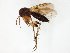  ( - TSZD-JKJ-104823)  @11 [ ] CreativeCommons - Attribution Non-Commercial Share-Alike (2018) Unspecified Tromsø University Museum