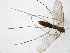  ( - TSZD-JKJ-104824)  @11 [ ] CreativeCommons - Attribution Non-Commercial Share-Alike (2018) Unspecified Tromsø University Museum