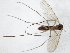  ( - TSZD-JKJ-104824)  @11 [ ] CreativeCommons - Attribution Non-Commercial Share-Alike (2018) Unspecified Tromsø University Museum