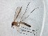  ( - TSZD-JKJ-104825)  @11 [ ] CreativeCommons - Attribution Non-Commercial Share-Alike (2018) Unspecified Tromsø University Museum