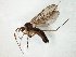  ( - TSZD-JKJ-104826)  @11 [ ] CreativeCommons - Attribution Non-Commercial Share-Alike (2018) Unspecified Tromsø University Museum