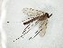  ( - TSZD-JKJ-104827)  @11 [ ] CreativeCommons - Attribution Non-Commercial Share-Alike (2018) Unspecified Tromsø University Museum
