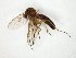  ( - TSZD-JKJ-104829)  @11 [ ] CreativeCommons - Attribution Non-Commercial Share-Alike (2018) Unspecified Tromsø University Museum