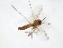  ( - TSZD-JKJ-104835)  @11 [ ] CreativeCommons - Attribution Non-Commercial Share-Alike (2018) Unspecified Tromsø University Museum