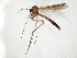  ( - TSZD-JKJ-104853)  @13 [ ] CreativeCommons - Attribution Non-Commercial Share-Alike (2018) Unspecified Tromsø University Museum