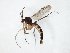  ( - TSZD-JKJ-104857)  @11 [ ] CreativeCommons - Attribution Non-Commercial Share-Alike (2018) Unspecified Tromsø University Museum