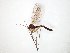  ( - TSZD-JKJ-104859)  @13 [ ] CreativeCommons - Attribution Non-Commercial Share-Alike (2018) Unspecified Tromsø University Museum