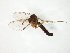  ( - TSZD-JKJ-104866)  @11 [ ] CreativeCommons - Attribution Non-Commercial Share-Alike (2018) Unspecified Tromsø University Museum