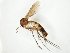  ( - TSZD-JKJ-104878)  @13 [ ] CreativeCommons - Attribution Non-Commercial Share-Alike (2018) Unspecified Tromsø University Museum