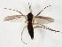  ( - TSZD-JKJ-104887)  @11 [ ] CreativeCommons - Attribution Non-Commercial Share-Alike (2018) Unspecified Tromsø University Museum