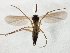  ( - TSZD-JKJ-104887)  @11 [ ] CreativeCommons - Attribution Non-Commercial Share-Alike (2018) Unspecified Tromsø University Museum