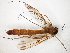  ( - TSZD-JKJ-104976)  @11 [ ] CreativeCommons - Attribution Non-Commercial Share-Alike (2018) Unspecified Tromsø University Museum