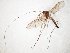  ( - TSZD-JKJ-105010)  @11 [ ] CreativeCommons - Attribution Non-Commercial Share-Alike (2018) Unspecified Tromsø University Museum