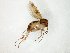 ( - TSZD-JKJ-105011)  @11 [ ] CreativeCommons - Attribution Non-Commercial Share-Alike (2018) Unspecified Tromsø University Museum
