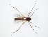  ( - TSZD-JKJ-105021)  @12 [ ] CreativeCommons - Attribution Non-Commercial Share-Alike (2018) Unspecified Tromsø University Museum
