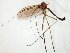  ( - TSZD-JKJ-105031)  @11 [ ] CreativeCommons - Attribution Non-Commercial Share-Alike (2018) Unspecified Tromsø University Museum