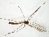  ( - TSZD-JKJ-105044)  @11 [ ] CreativeCommons - Attribution Non-Commercial Share-Alike (2018) Unspecified Tromsø University Museum