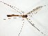  ( - TSZD-JKJ-105044)  @11 [ ] CreativeCommons - Attribution Non-Commercial Share-Alike (2018) Unspecified Tromsø University Museum