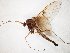  ( - TSZD-JKJ-105066)  @11 [ ] CreativeCommons - Attribution Non-Commercial Share-Alike (2019) Unspecified Tromsø University Museum