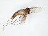  ( - TSZD-JKJ-105082)  @11 [ ] CreativeCommons - Attribution Non-Commercial Share-Alike (2019) Unspecified Tromsø University Museum