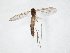  ( - TSZD-JKJ-105093)  @11 [ ] CreativeCommons - Attribution Non-Commercial Share-Alike (2019) Unspecified Tromsø University Museum