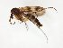  ( - TSZD-JKJ-105097)  @14 [ ] CreativeCommons - Attribution Non-Commercial Share-Alike (2019) Unspecified Tromsø University Museum