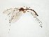  ( - TSZD-JKJ-105099)  @11 [ ] CreativeCommons - Attribution Non-Commercial Share-Alike (2019) Unspecified Tromsø University Museum