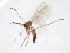  ( - TSZD-JKJ-105111)  @11 [ ] CreativeCommons - Attribution Non-Commercial Share-Alike (2019) Unspecified Tromsø University Museum