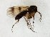  ( - TSZD-JKJ-105126)  @11 [ ] CreativeCommons - Attribution Non-Commercial Share-Alike (2019) Unspecified Tromsø University Museum