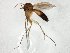  ( - TSZD-JKJ-105155)  @11 [ ] CreativeCommons - Attribution Non-Commercial Share-Alike (2019) Unspecified Tromsø University Museum