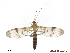 ( - TSZD-JKJ-105320)  @13 [ ] CreativeCommons - Attribution Non-Commercial Share-Alike (2019) Unspecified Tromsø University Museum