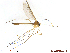  ( - TSZD-JKJ-105321)  @11 [ ] CreativeCommons - Attribution Non-Commercial Share-Alike (2019) Unspecified Tromsø University Museum