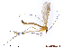  ( - TSZD-JKJ-105322)  @11 [ ] CreativeCommons - Attribution Non-Commercial Share-Alike (2019) Unspecified Tromsø University Museum