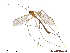  ( - TSZD-JKJ-105323)  @11 [ ] CreativeCommons - Attribution Non-Commercial Share-Alike (2019) Unspecified Tromsø University Museum