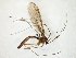  ( - TSZD-JKJ-105332)  @11 [ ] CreativeCommons - Attribution Non-Commercial Share-Alike (2019) Unspecified Tromsø University Museum